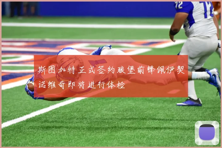 斯图加特正式签约狼堡前锋佩伊契诺维奇即将进行体检